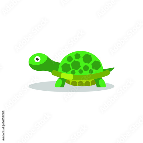 Flat design Turtle vector illustration, isolated on white background