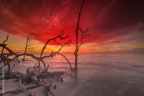 sunset on the beach with Mangroves 