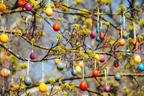 Ostereier an Ästen mit Blüten im Blühenden Barock Schloss Ludwigsburg