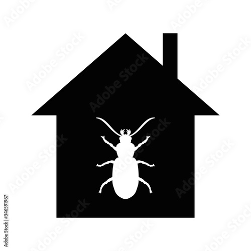 House attacked by beetle
