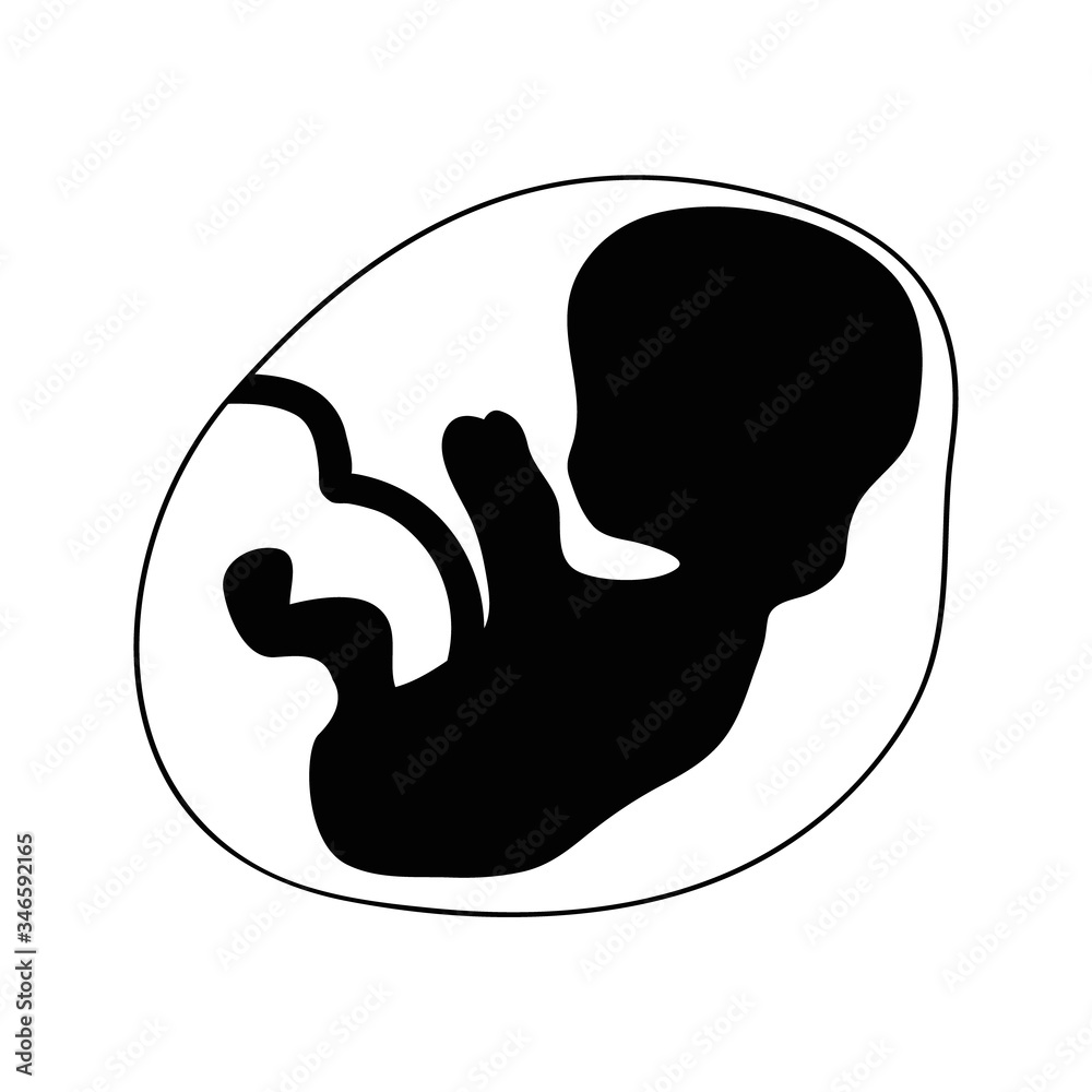 Fetus vector icon human child with placenta Fetus vector icon human child with placenta