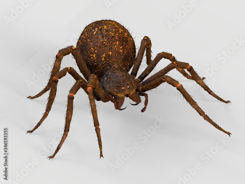 A large brown spider. 3d rendering
