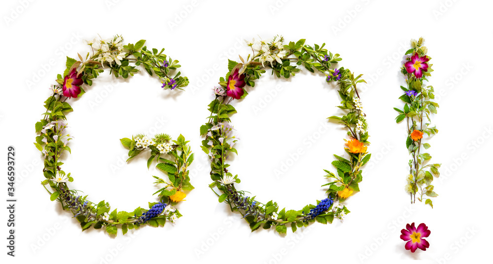 Flower, Branches And Blossom Letter Building English Word Go. White Isolated Background Flower, Branches And Blossom Letter Building English Word Go. White Isolated Background