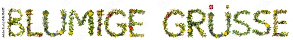 Flower, Branches And Blossom Letter Building German Word Blumige Gruesse Means Flower Greetings. White Isolated Background Flower, Branches And Blossom Letter Building German Word Blumige Gruesse Means Flower Greetings. White Isolated Background