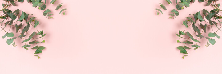 Frame made of eucalyptus branches on a pink pastel background. Banner template with place for text.