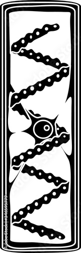 Silhouette of spirogyra (charophyte green algae)