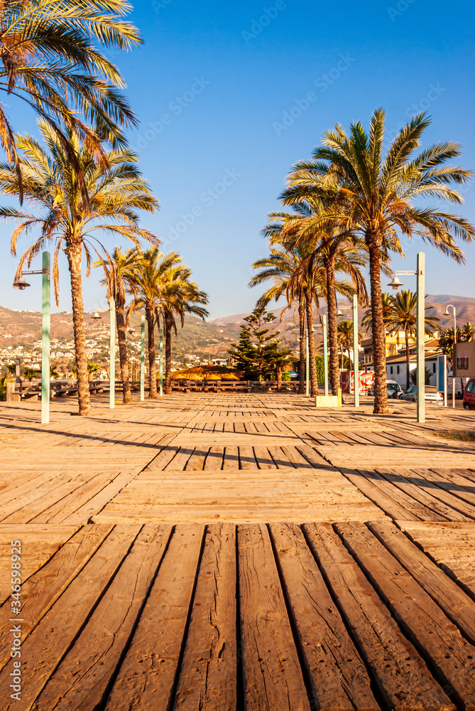 A deserted boardwalk promenade and palm trees on an early, warm and sunny summer morning at La Herradura beach, Costa Tropical, Andalusia, Spain