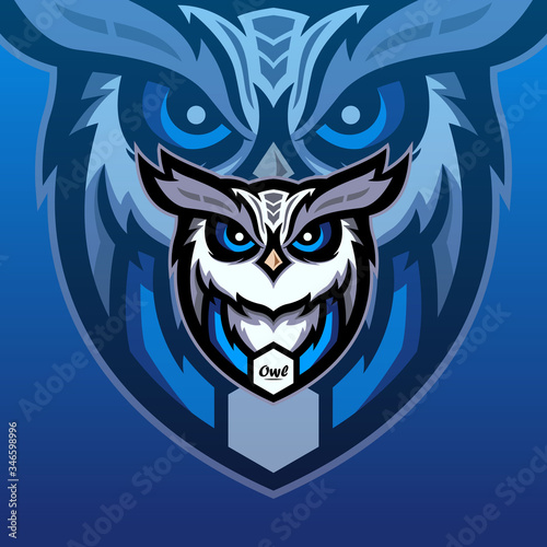 Owl Mascot Logo Design Illustration For Gaming Club. Owl Esport Logo
