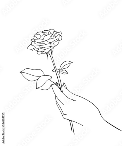 Hand holding rose flower, line drawing. - Vector illustration