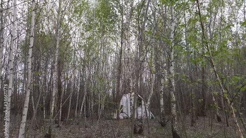 Lonely shelter in the dark woods