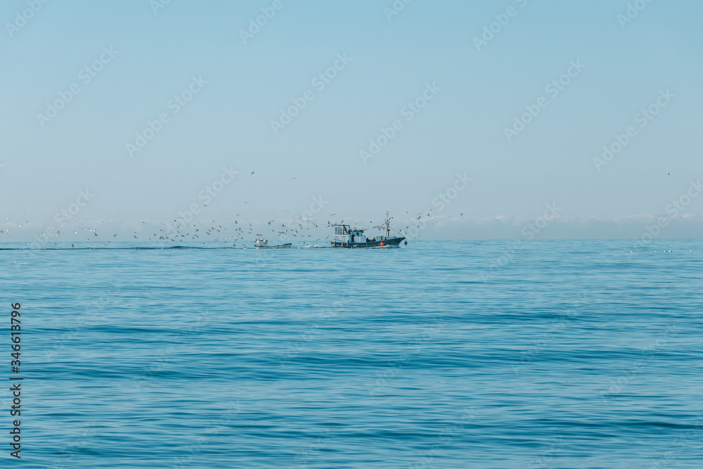 Fishing boat followed by seagulls in sea Fishing boat followed by seagulls in sea