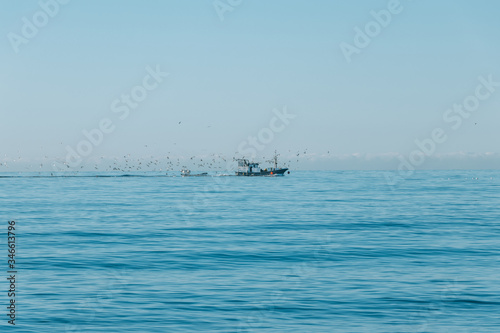 Fishing boat followed by seagulls in sea