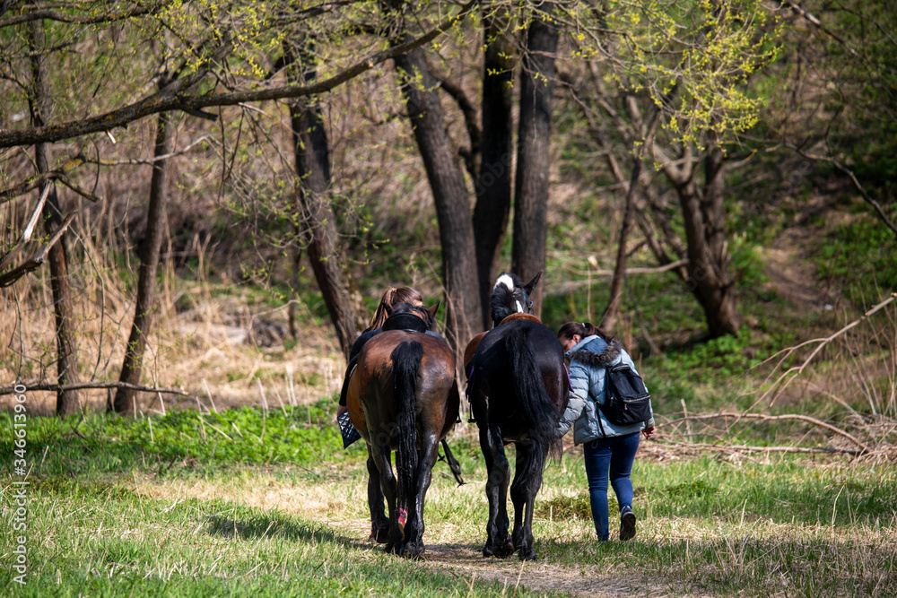 riders and horses on vacation in the forest by the river riders and horses on vacation in the forest by the river