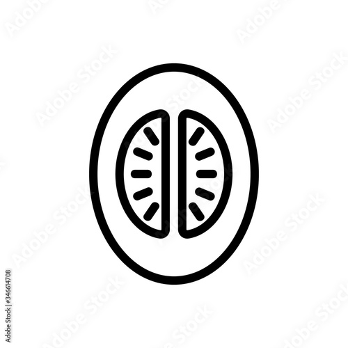 half melon with entrails top view icon vector. half melon with entrails top view sign. isolated contour symbol illustration