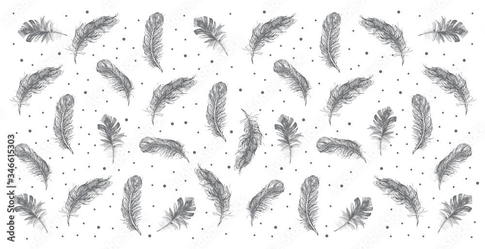 Feather icon set. Hand drawn illustration. Doodle sketch.