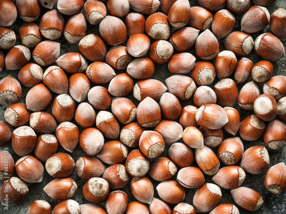 Lots of hazelnuts or hazelnuts, close-up. There is a place for the text. Lots of hazelnuts or hazelnuts, close-up. There is a place for the text.