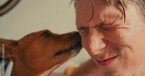 Wallpaper Mural Handsome young man and his pet dog hang out together at home after workout. Basenji dog licks sweaty face of owner. Cute, funny and happy dog owner laughs at camera Torontodigital.ca