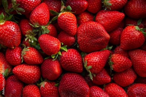 Red ripe strawberries background. Close up, top view.