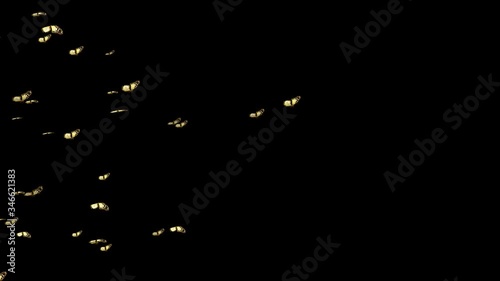 Wallpaper Mural butterflies flies from left to right with alpha channel Torontodigital.ca