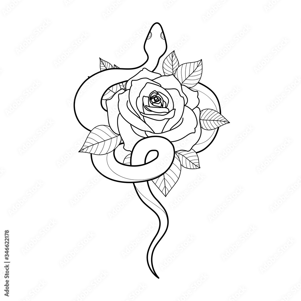 Hand drawing outline snake with rose Tattoo snake for Henna drawing and  tattoo template Vector illustration Stock Vector  Adobe Stock