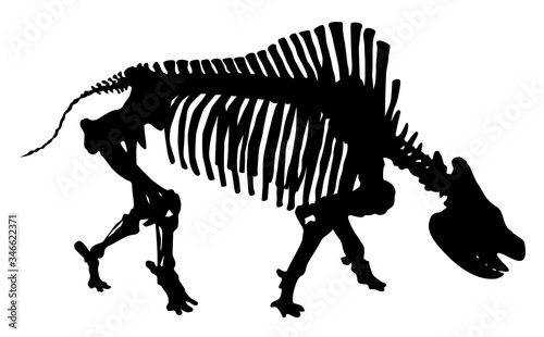  silhouette of  skeleton of a rhinoceros vector © Oksana