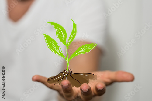 green plant growing up digital