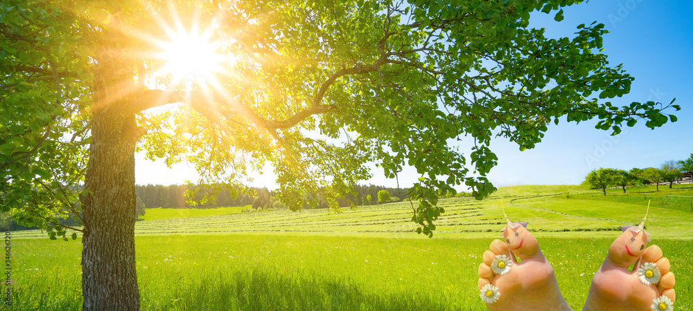 Green Fresh meadow field with fruit trees in the sunshine and naked children's feet with Smileys and flowers - obrazy, fototapety, plakaty 