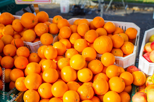 oranges at the market