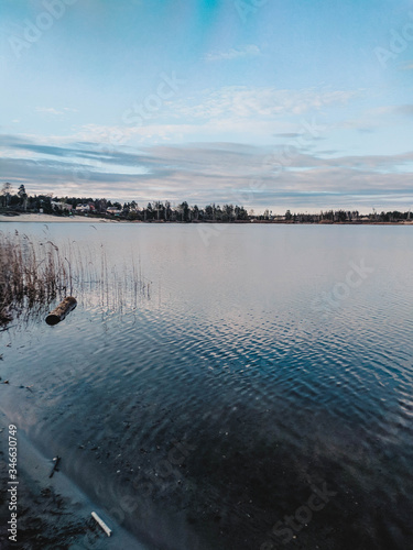 nature in self-isolation mode