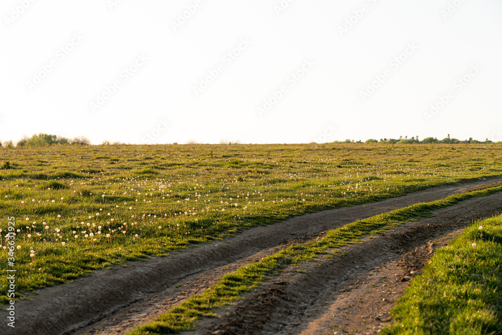 Dirt road among the green meadow with blue sky on the background