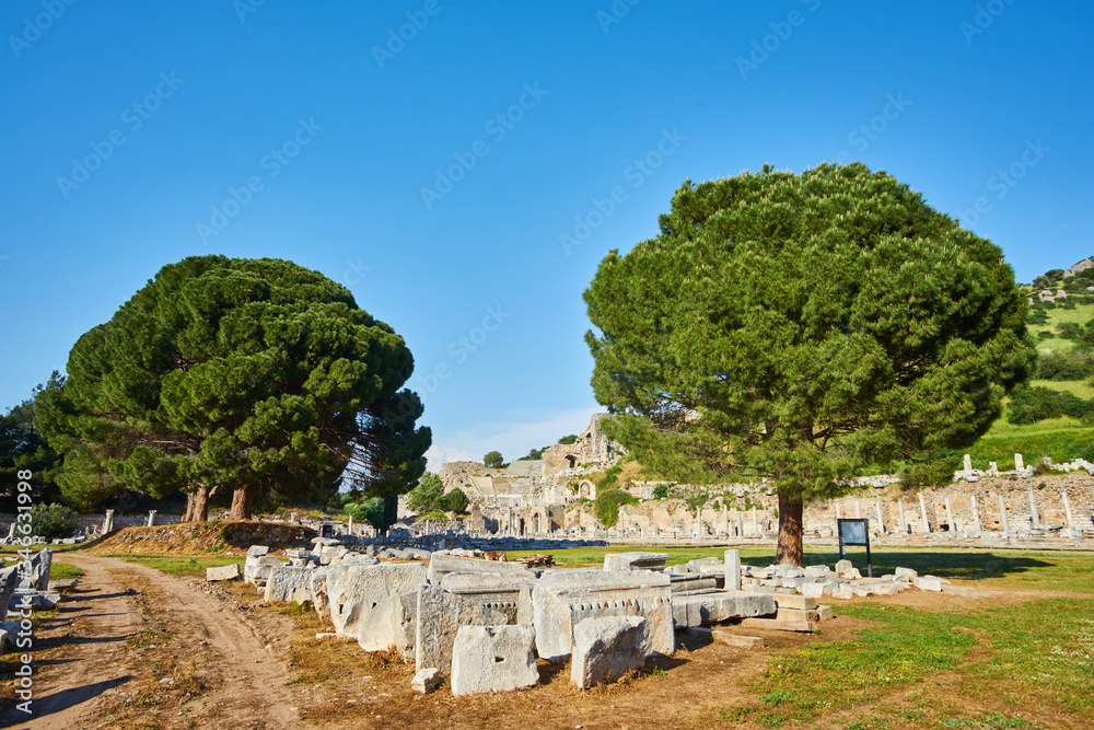 View of trees and ruins of the Ancient Greek city of Ephesus near Sel uk