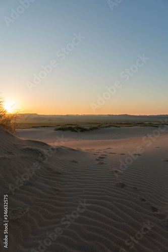 Beautiful dunes at sunset on Balmedie beach