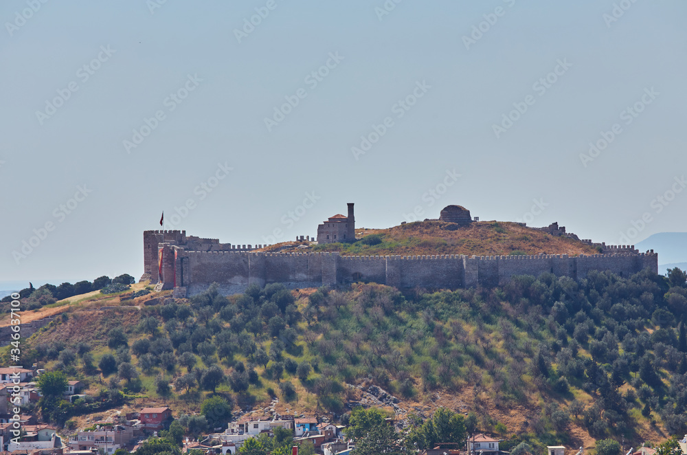 Historical Selcuk Castle. Royal tombs.
