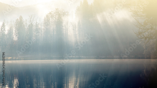 banner of sun rays coming through trees by a lake