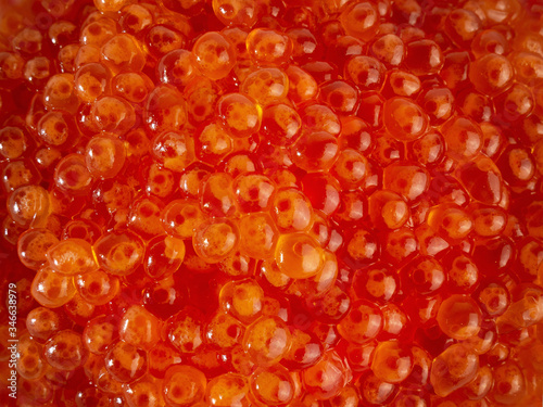 Fresh red caviar of salmon fish. The texture of the caviar. background for the design.