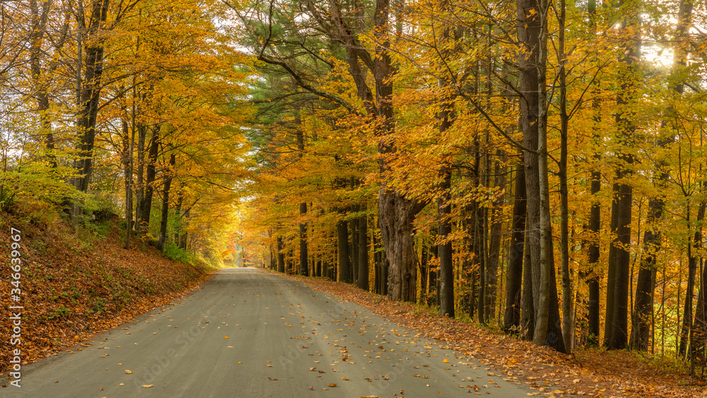 Autumn leaves on country road near Woodstock Vermont