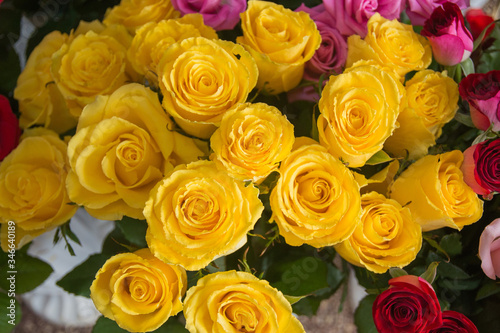 Bouquet of colorful roses