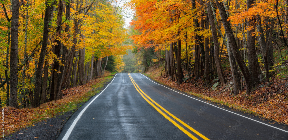 Fototapeta premium Scenic drive in Autumn - Virginia country road.