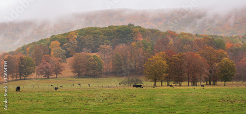Bilde på lerret Rural Virginia Farm country in Autumn in the  valleys and hills of the  Appalach