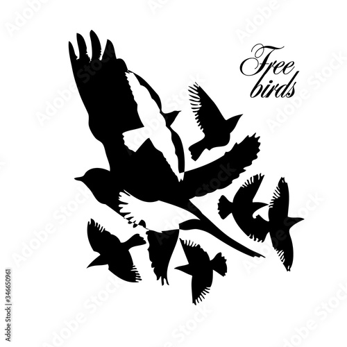 A flock of flying silhouette birds. Vector illustration