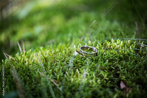 Obrączki (Wedding rings)