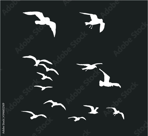 flock of birds vehicle embroidery graphic design vector art © a1vector