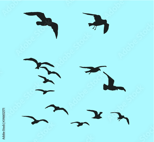 flock of birds vehicle embroidery graphic design vector art