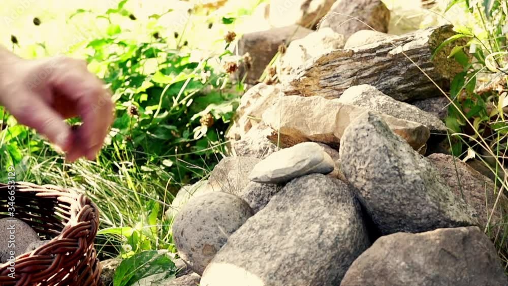 Hand laying down stone in the garden, 120fps
Hand laying down stone in the garden, 120fps
