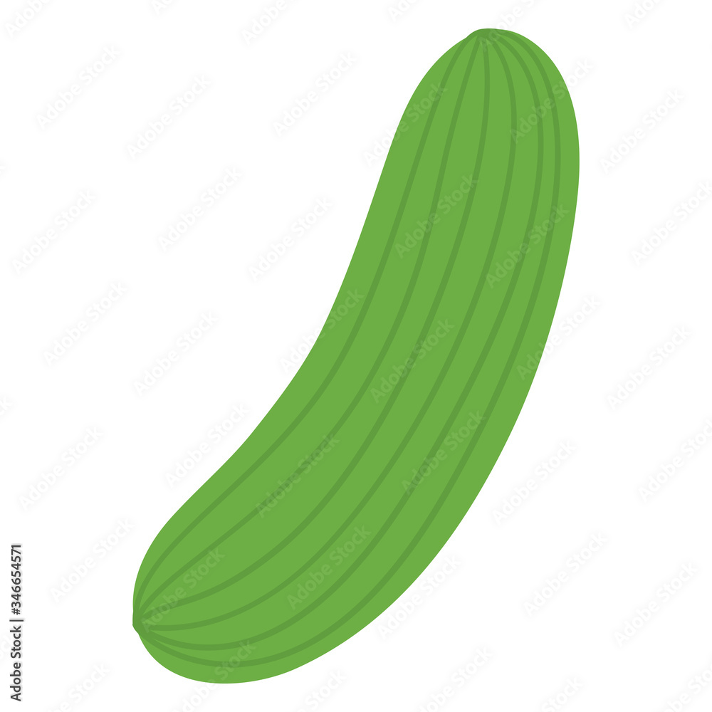 Isolated cucumber icon Isolated cucumber icon