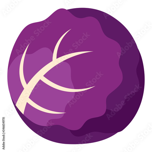 Isolated purple cabbage icon