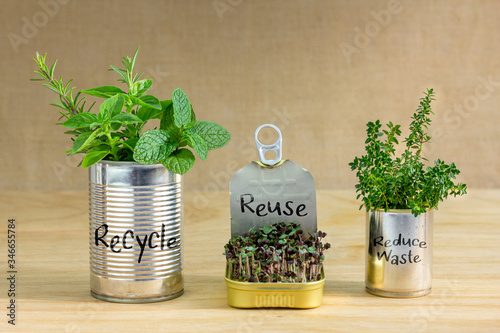 Reused tin cans containing herbs and growing salad greens with Recycle, Reuse, Reduce waste text written on cans. Zero waste at home, save money, recycle and grow your own food. photo