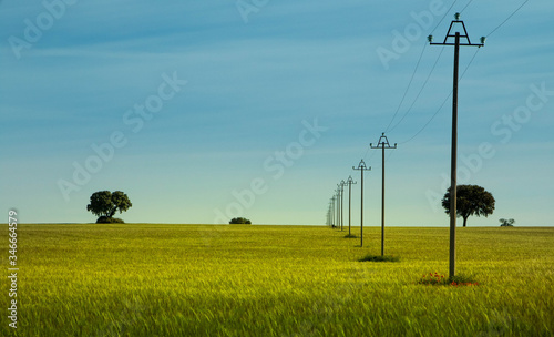 power lines on green field