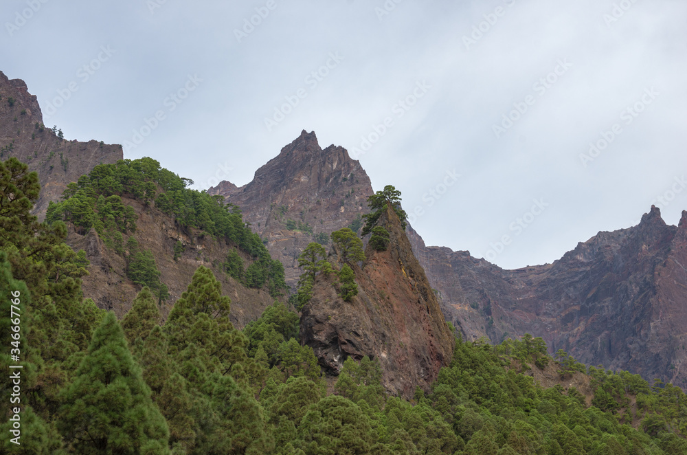 Fototapeta premium Barranco de las Angustias gorge in La Caldera de Taburiente in La Palma