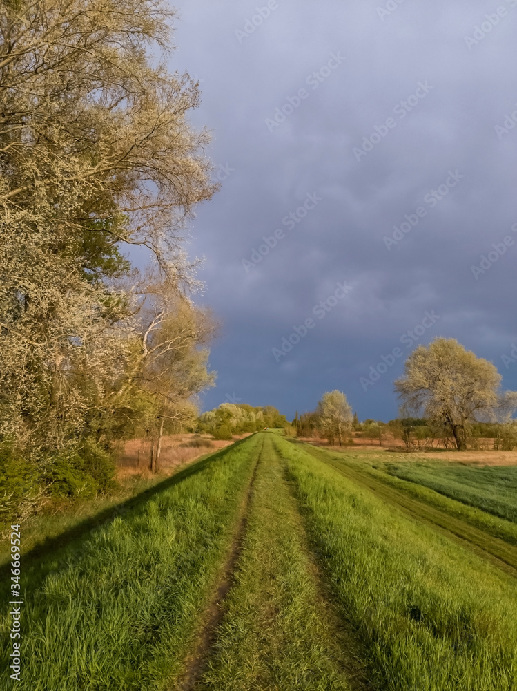 Footpath on a levee along Vistula (Wisła) river at sunset, vicinity of Warsaw, Poland